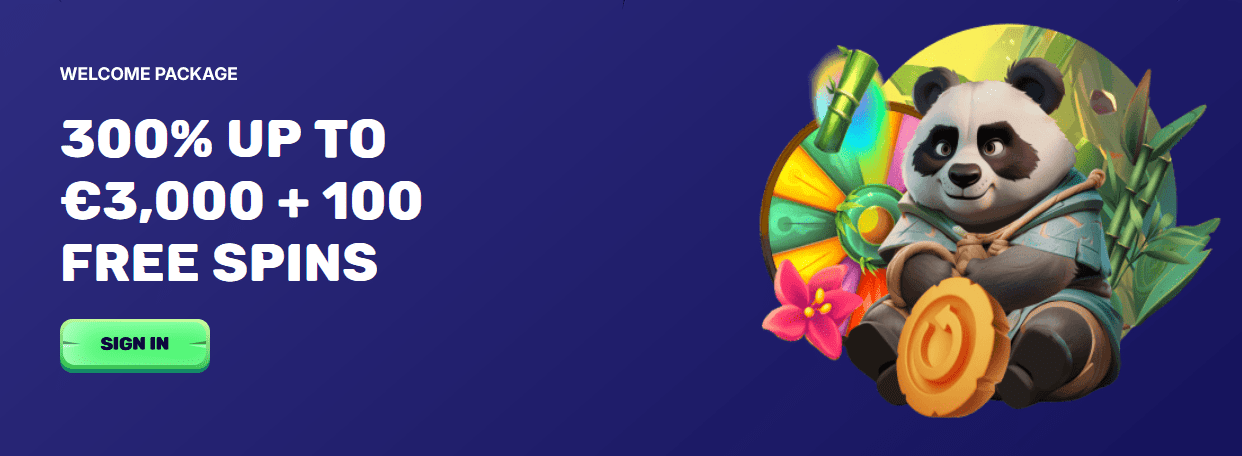 Netwerkvereisten voor Spinpanda Casino-aanmelding in Nederland